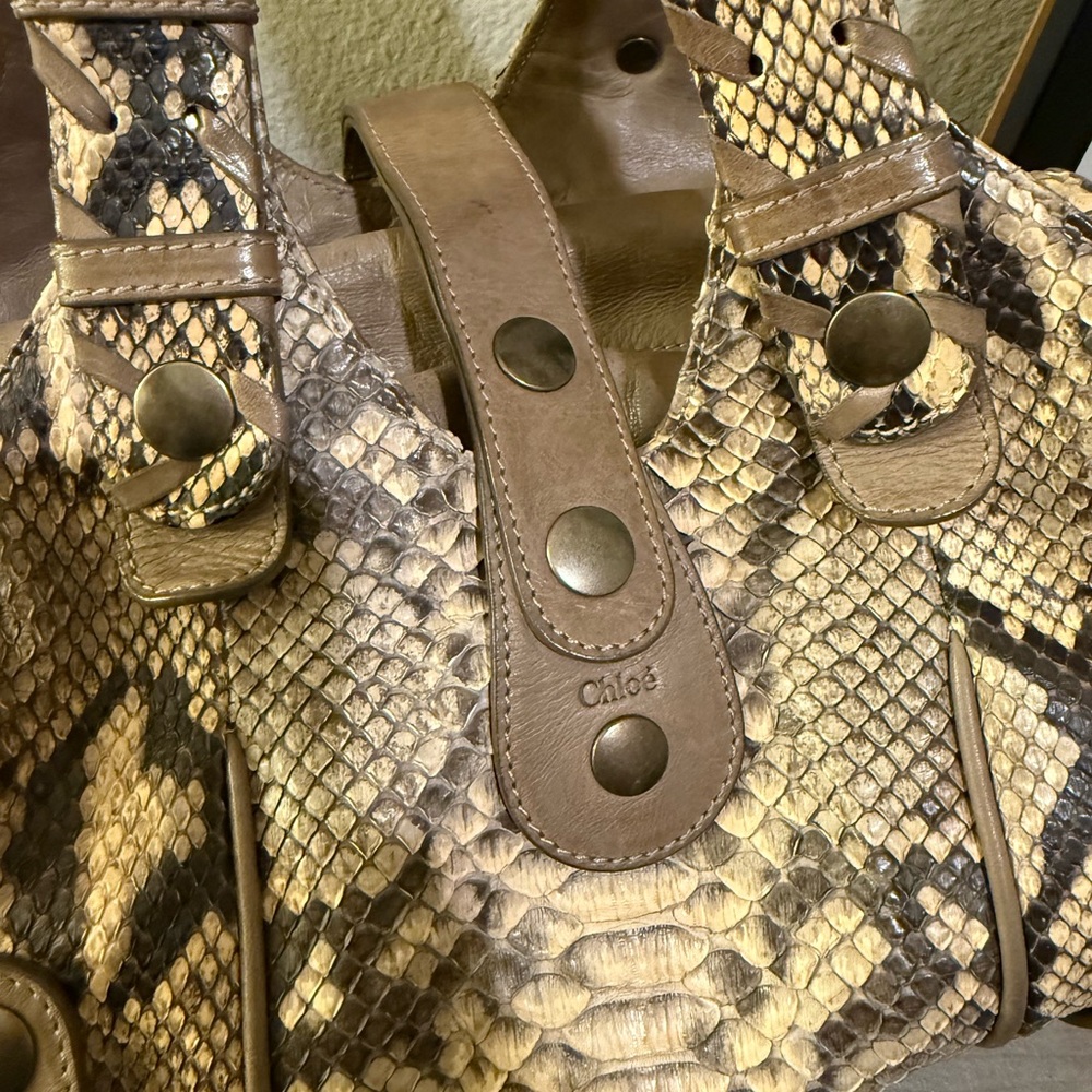 Chloé Silverado Python - Picture 12 of 16
